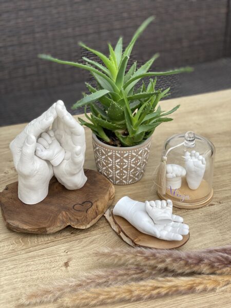 Familienerinnerungsstücke aus detailgetreuen Gipsabformungen von Händen und Füßen, liebevoll auf Holz und unter einer Glasglocke präsentiert